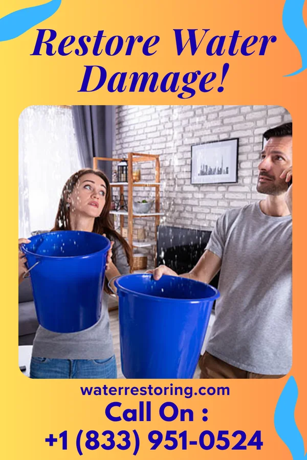 water restoration Sentinel Water Repair Pros Hamilton