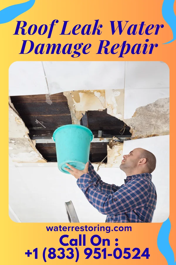 Roof Leak Water Damage Repair in Hamilton, KS