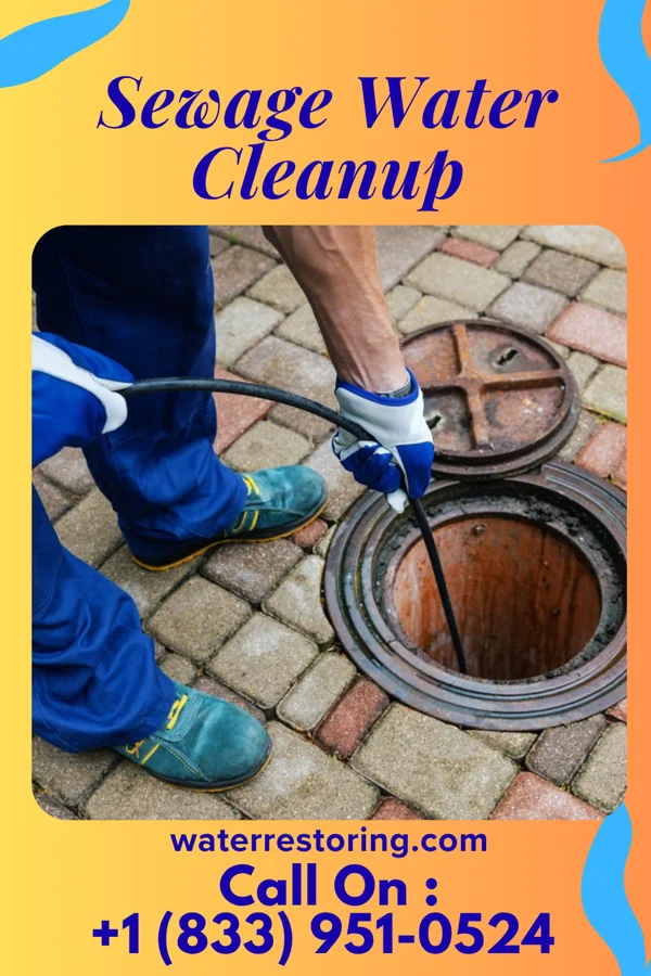 Sewage Water Cleanup in Hamilton, KS